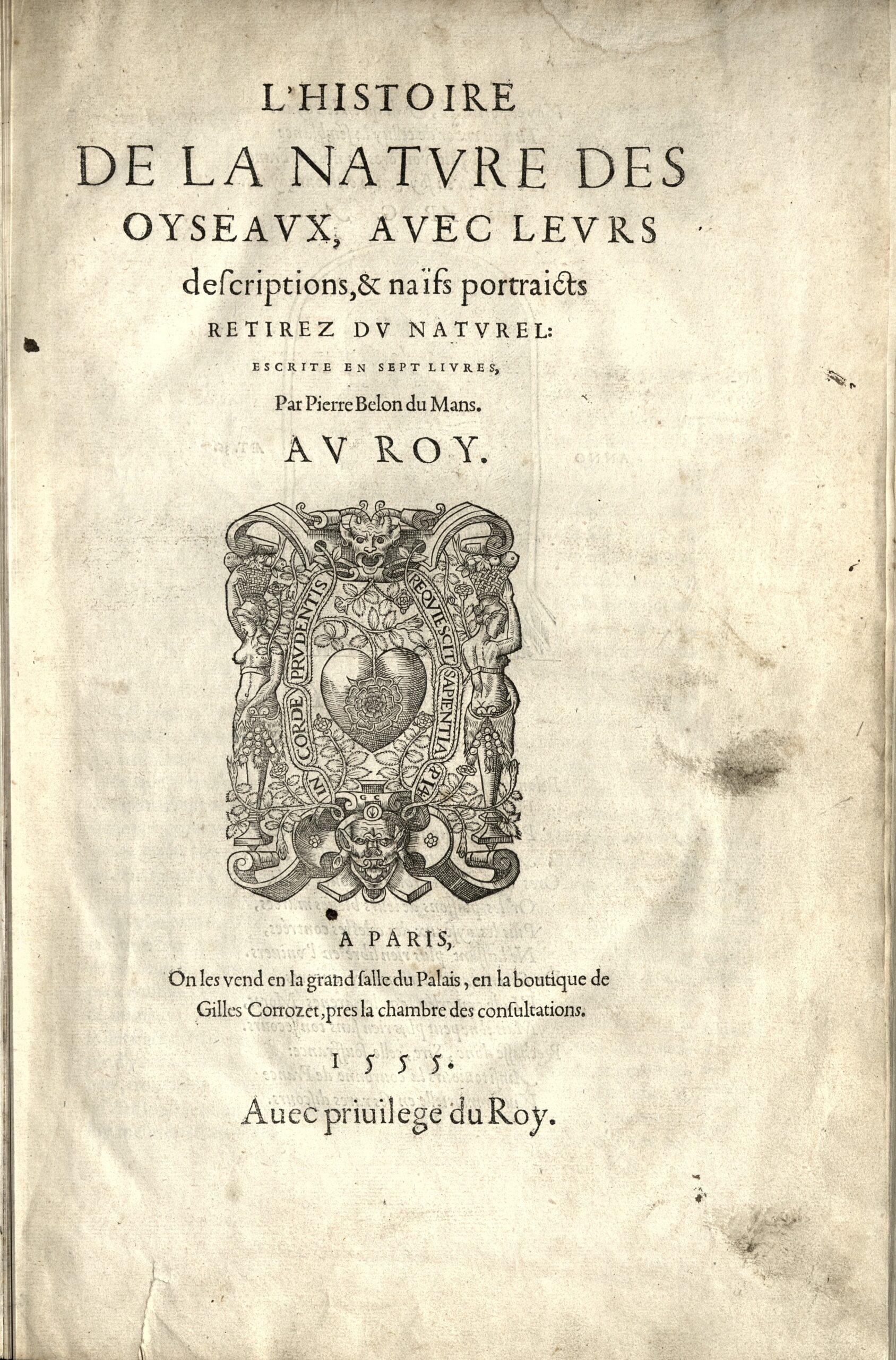 L'Histoire de la Nature des Oyseaux, Pierre Belon du Mans, 1555 - page de titre
